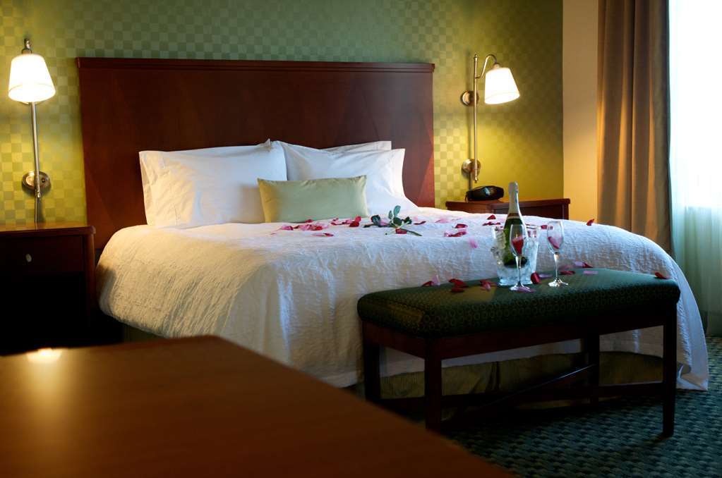 Hampton Inn & Suites El Paso West Room photo